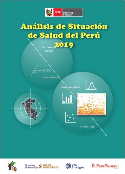 <p><strong>Análisis de Situación de Salud del Perú, 2019 (MINSA, 2019)</strong></p>