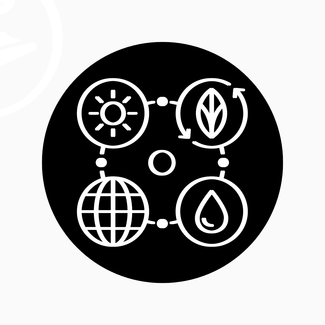 <h5><strong>DESAFÍO 8: Sostenibilidad y Biodiversidad</strong></h5>